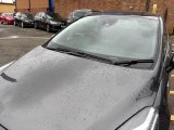 IMG_6340.jpeg